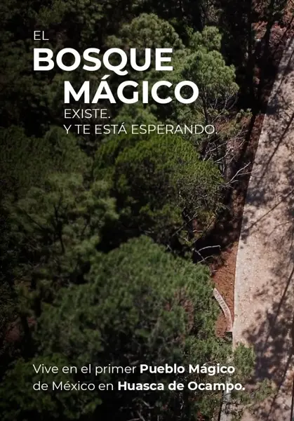 Terreno en venta en Bermúdez, Huasca de Ocampo — foto 2 de 10