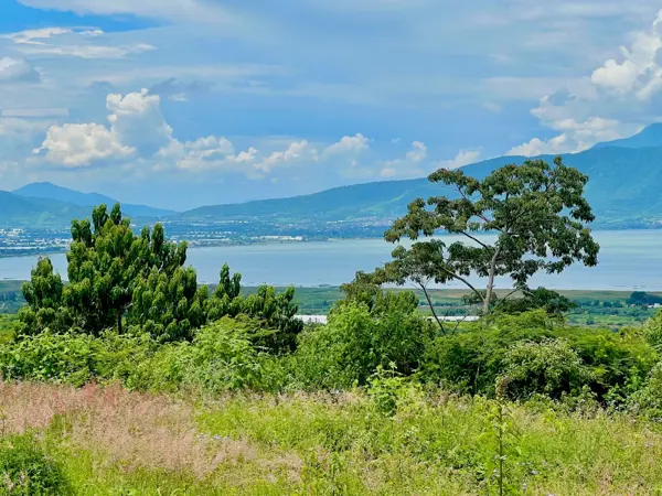 Terreno en venta en San Cristóbal Zapotitlán, Jocotepec — foto 2 de 7