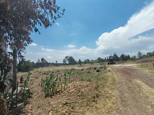 Terreno en venta en Chipilo de Francisco Javier Mina, San Gregorio Atzompa — foto 2 de 5