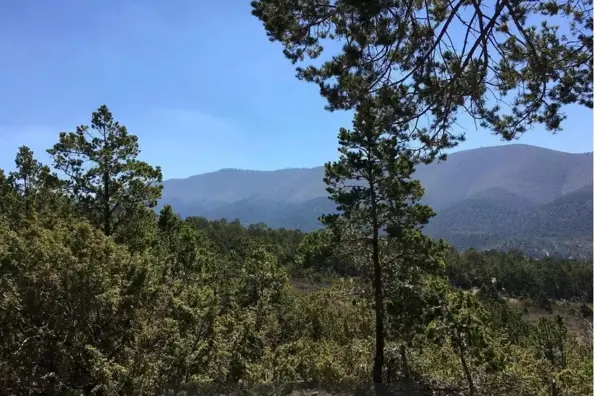 Terreno en venta en La Efigenia, Arteaga — foto 2 de 11
