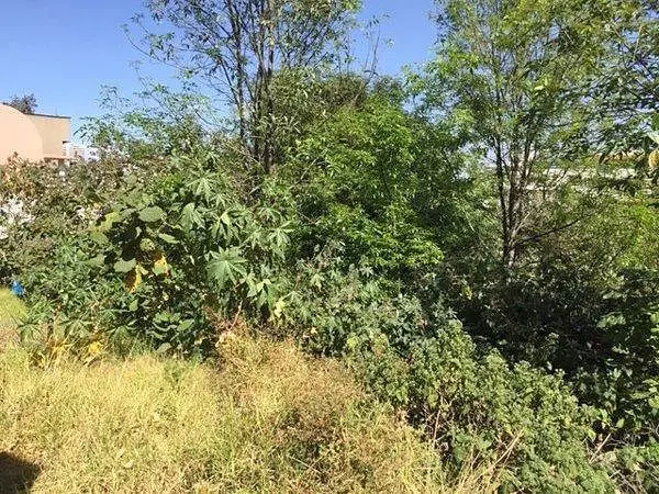 Terreno en venta en Lomas de la Herradura, Huixquilucan — foto 2 de 5