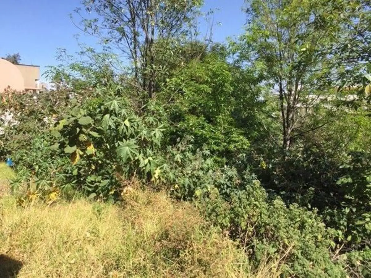 Terreno en venta en Lomas de la Herradura, Huixquilucan — foto 1 de 5
