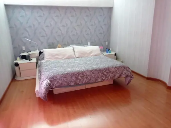 Casa en venta en Irrigacion, Miguel Hidalgo — foto 3 de 12