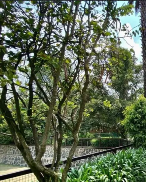 Terreno en venta en Lomas de Vista Hermosa, Cuajimalpa de Morelos — foto 2 de 14