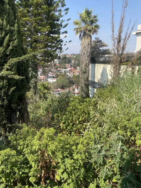 Terreno en venta en Lomas de Tecamachalco Sección Bosques I y II, Huixquilucan — foto 3 de 13