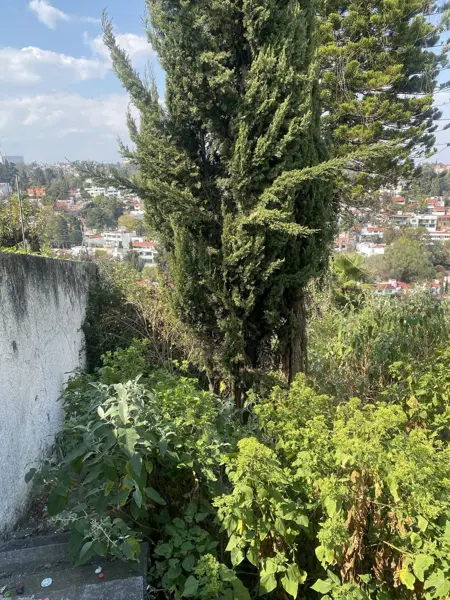 Terreno en venta en Lomas de Tecamachalco Sección Bosques I y II, Huixquilucan — foto 2 de 13
