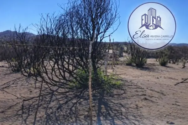 Terreno en venta en Luis Echeverría Álvarez (El Hongo), Tecate — foto 3 de 16