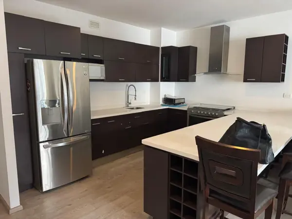 Departamento en Renta en Nuevo Sur, Monterrey
