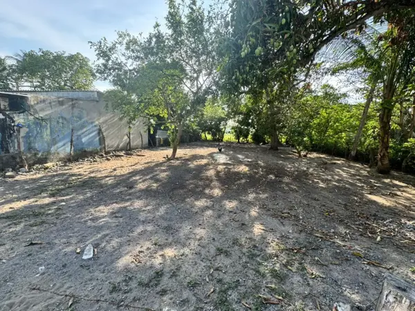 Terreno en venta en El Zapote, Alvarado — foto 3 de 9