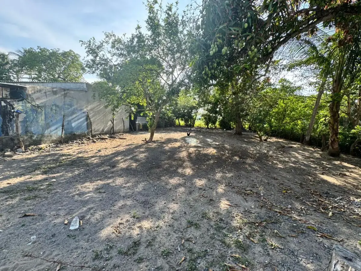 Terreno en venta en El Zapote, Alvarado — foto 1 de 9