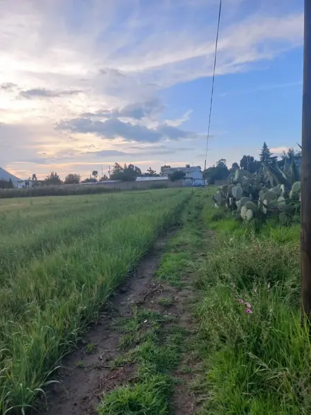 Terreno en venta en Guadalupe Santa Rita de Arriba, Zempoala — foto 3 de 5