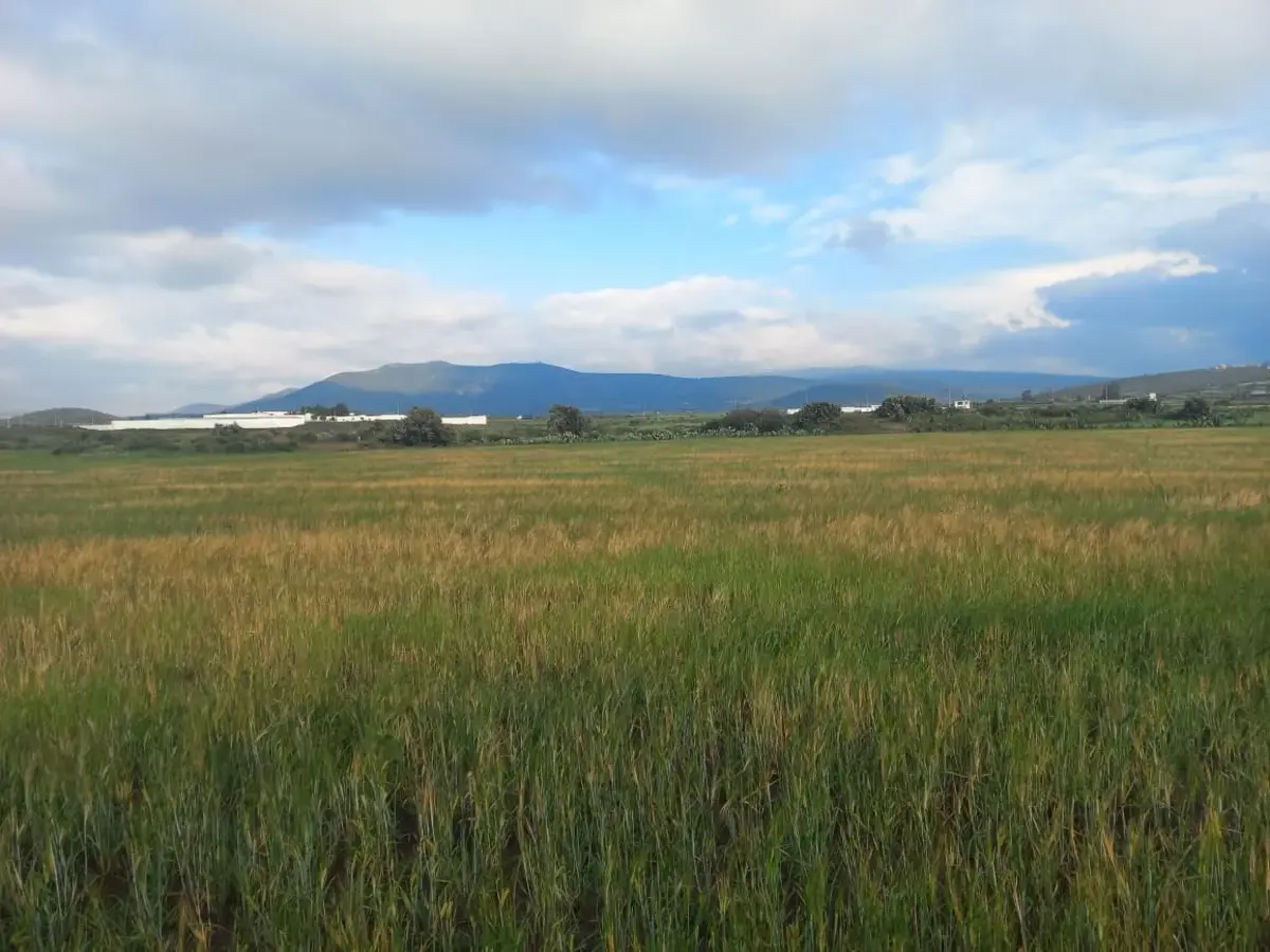 Terreno en venta en Guadalupe Santa Rita de Arriba, Zempoala — foto 1 de 5