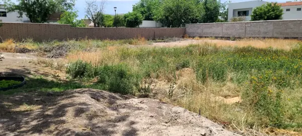 Terreno en venta en Las Trojes, Torreón — foto 3 de 7