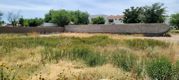 Terreno en venta en Las Trojes, Torreón — foto 3 de 5