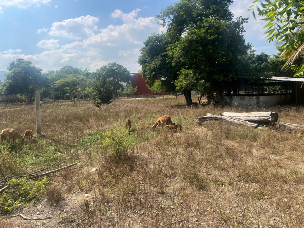 Terreno en venta en Teran, Tuxtla Gutiérrez — foto 2 de 4