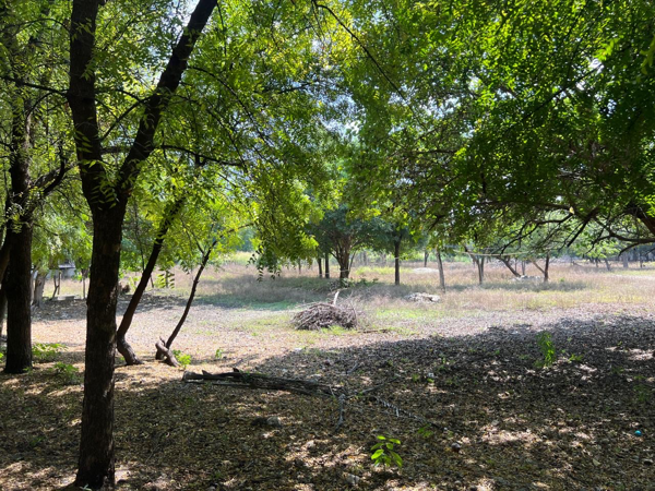 Terreno en venta en Teran, Tuxtla Gutiérrez — foto 3 de 4