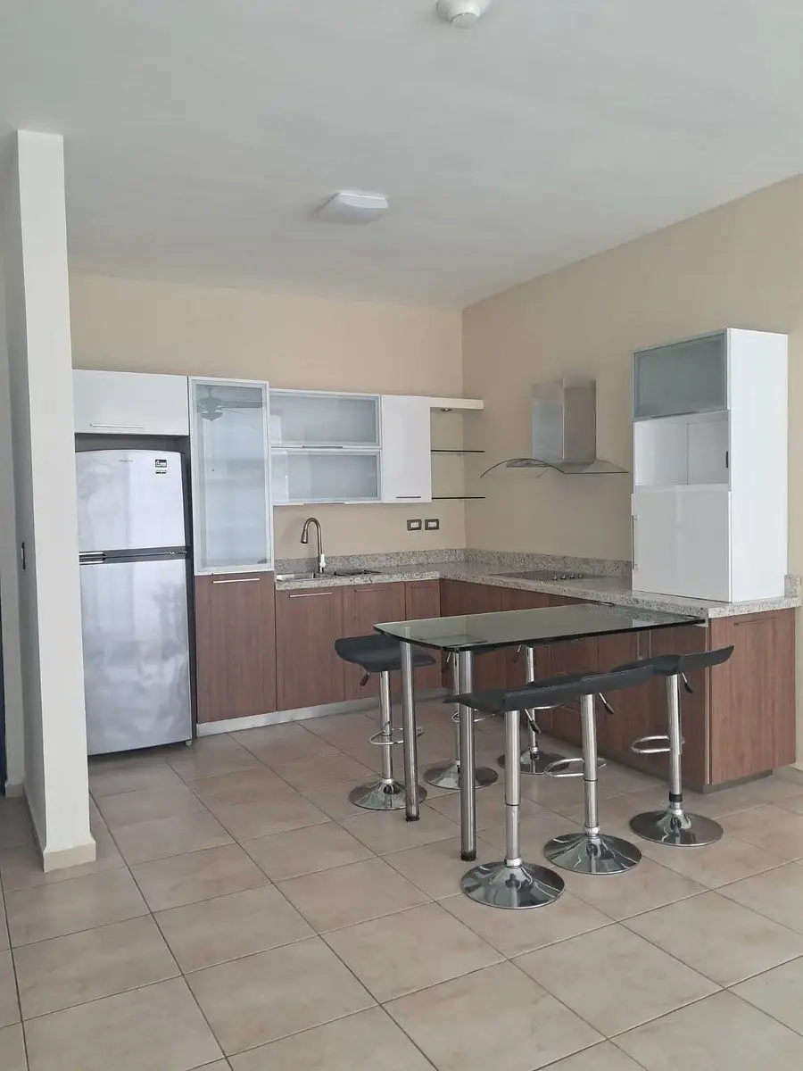 Departamento en renta en Colinas del Valle, Monterrey — foto 1 de 10