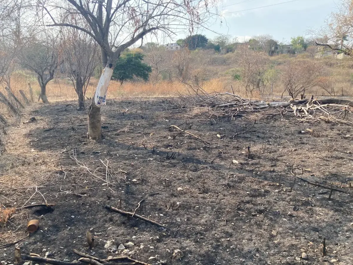 Terreno en venta en San Juanito, Yautepec — foto 1 de 6