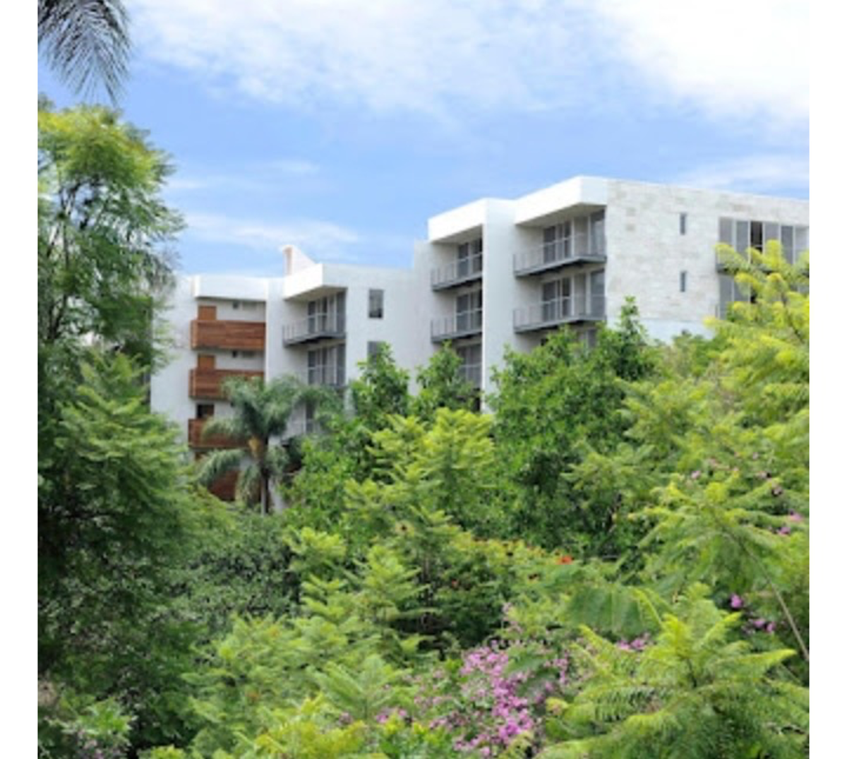 Departamento en renta en Cuernavaca Centro, Cuernavaca — foto 1 de 27