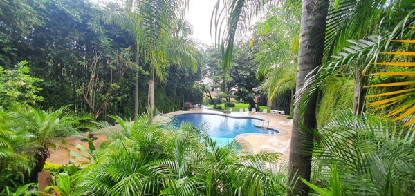 Departamento en renta en Cuernavaca Centro, Cuernavaca — foto 3 de 27