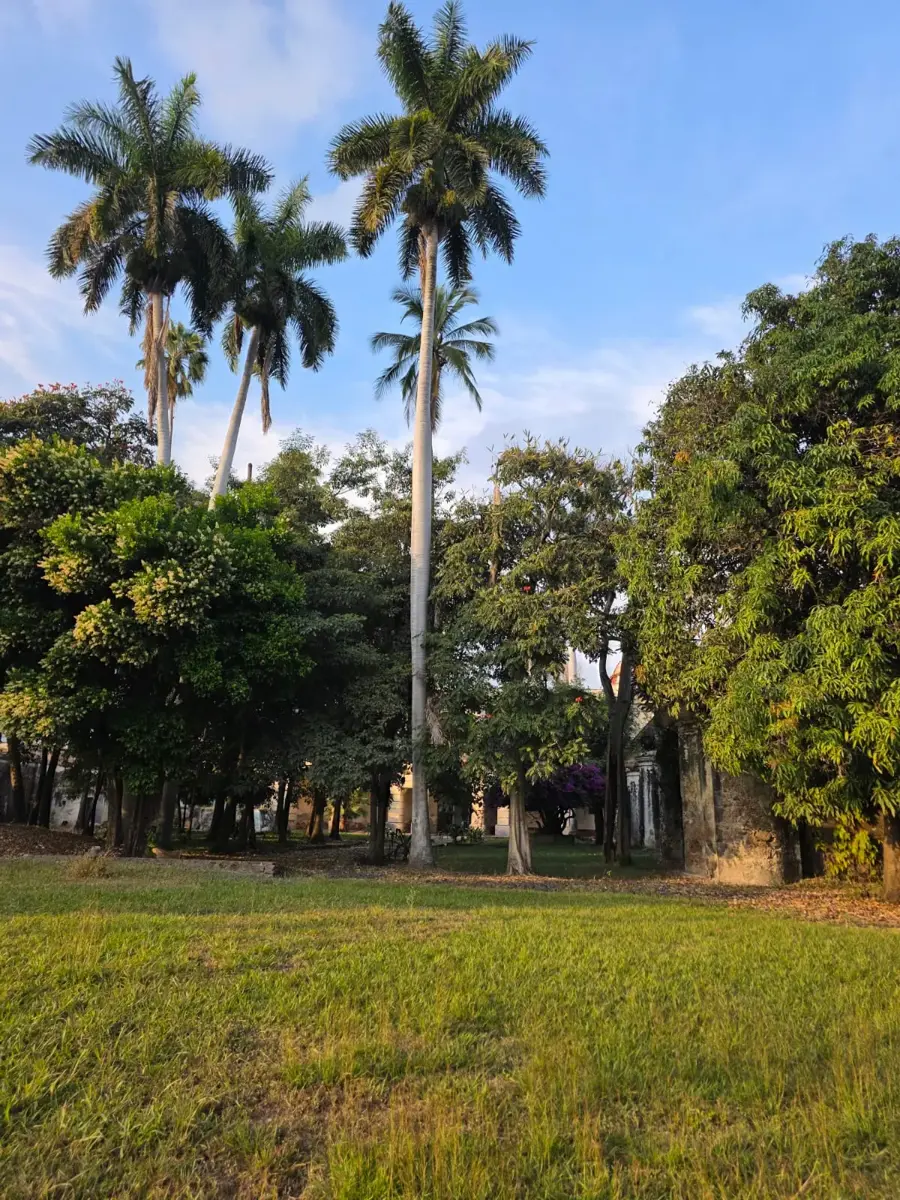 Terreno en venta en Oacalco, Yautepec — foto 1 de 7