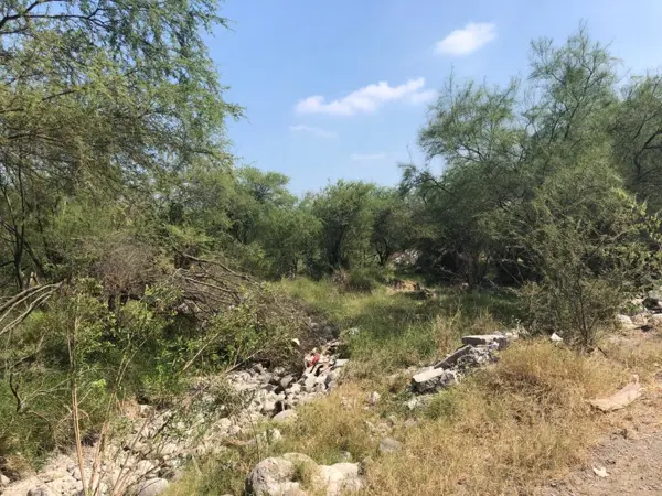 Terreno en venta en Benito Juárez Centro, Juárez — foto 2 de 10