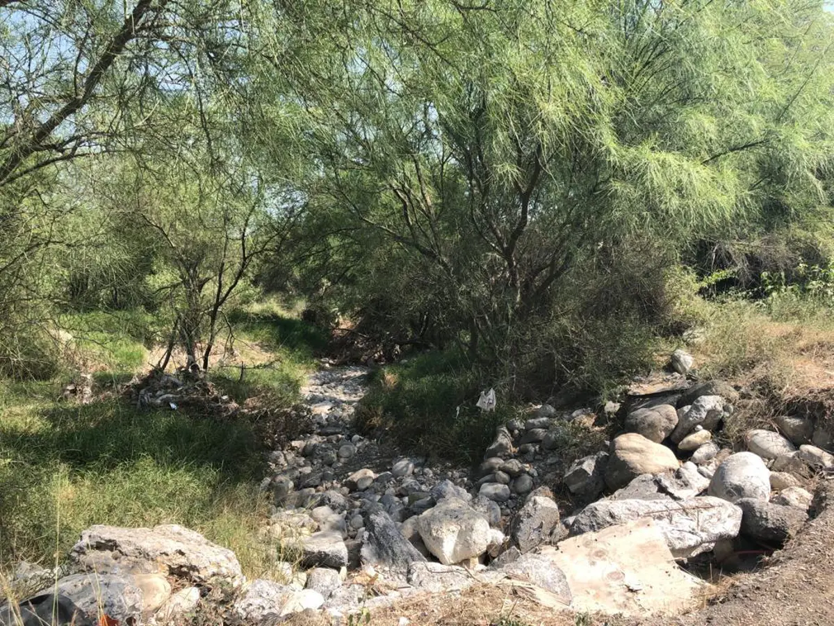 Terreno en venta en Benito Juárez Centro, Juárez — foto 1 de 10