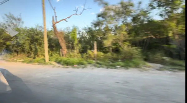Terreno en renta en Lomas del Real de Jarachinas, Reynosa — foto 3 de 7