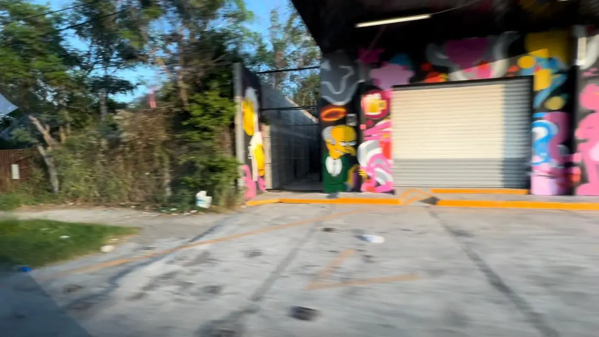 Terreno en renta en Lomas del Real de Jarachinas, Reynosa — foto 1 de 7
