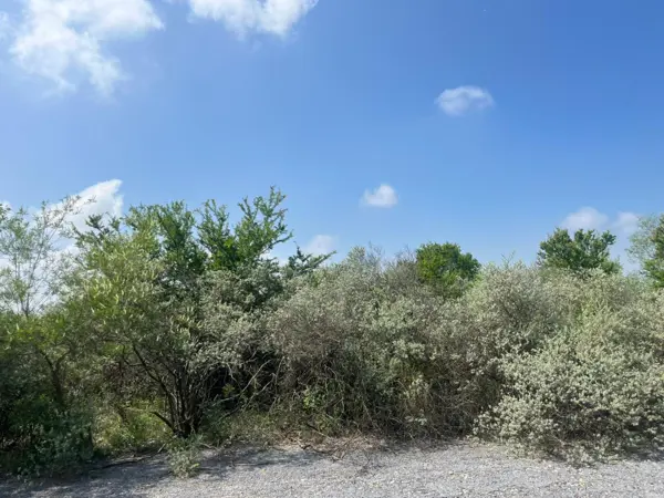 Terreno en venta en El Fraile, Montemorelos — foto 2 de 5