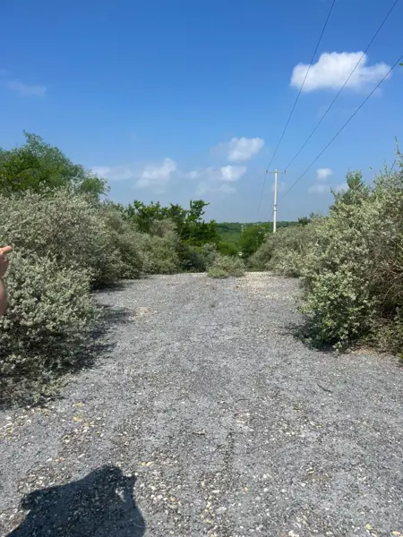 Terreno en venta en El Fraile, Montemorelos — foto 3 de 5