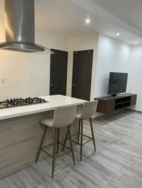 Departamento en venta en Fraccionamiento	Living San Nicolás, San Nicolás de los Garza — foto 3 de 22
