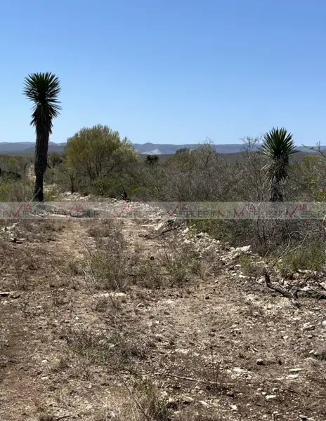 Terreno en venta en Ciudad Cerralvo, Cerralvo — foto 3 de 9