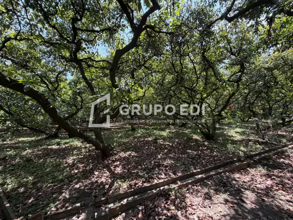 Finca-Rancho en venta en Solares de Tenextepec, Atlixco — foto 2 de 19