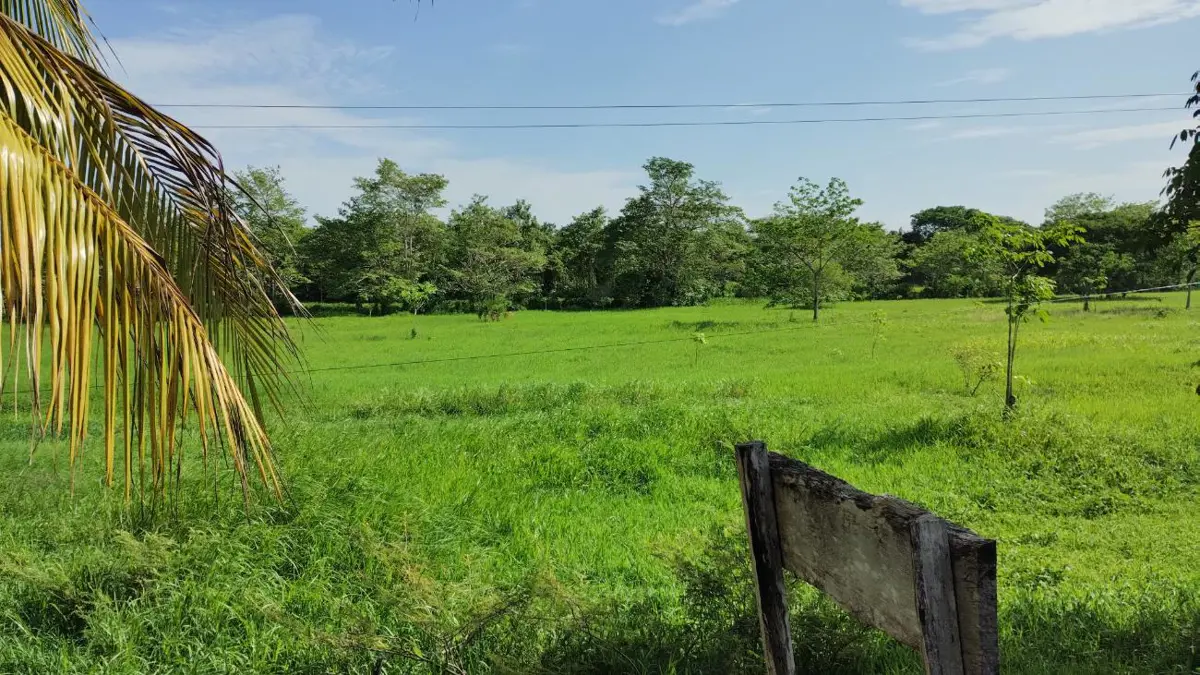 Terreno en venta en Santa Adelaida, Palizada