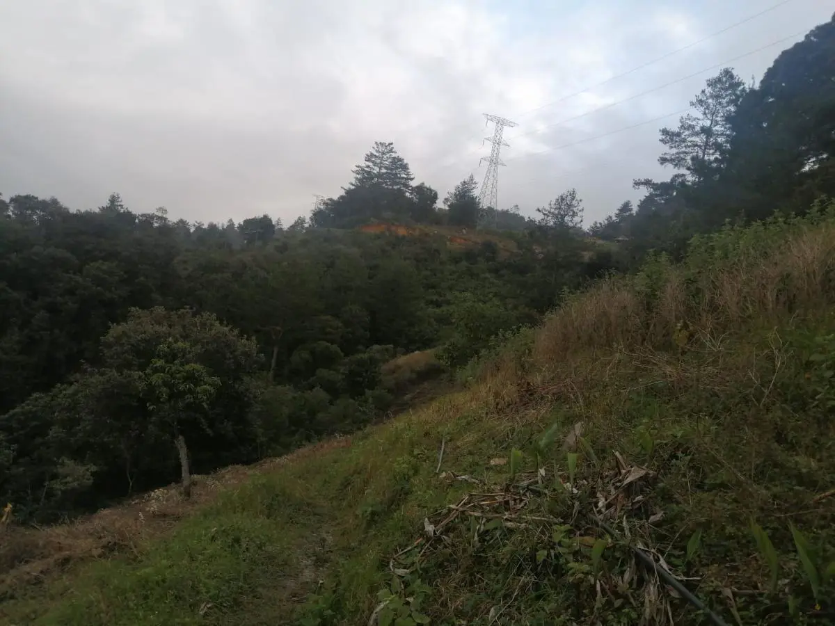 Terreno en venta en Voz Campesina (Ampliación las Minas), Llera