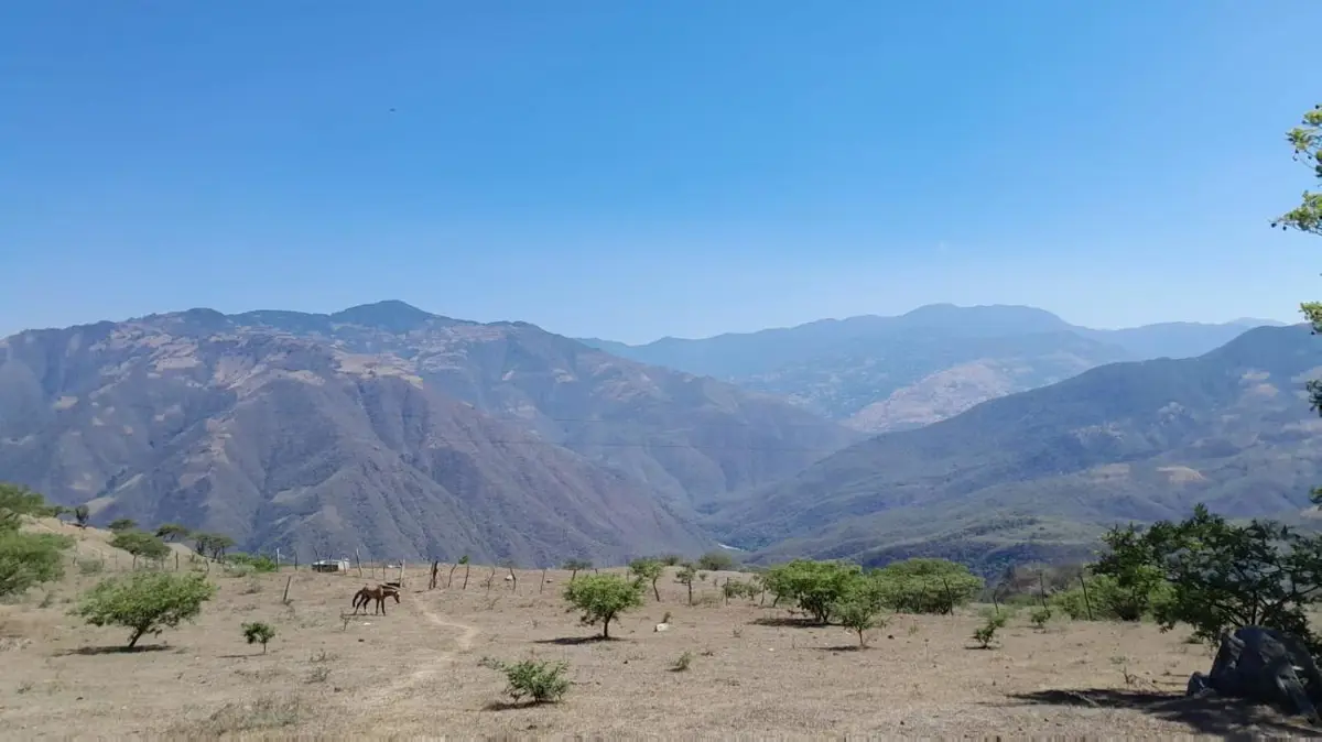 Terreno en venta en Voz Campesina (Ampliación las Minas), Llera