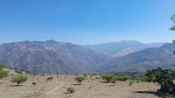Terreno en venta en Voz Campesina (Ampliación las Minas), Llera, Tamaulipas