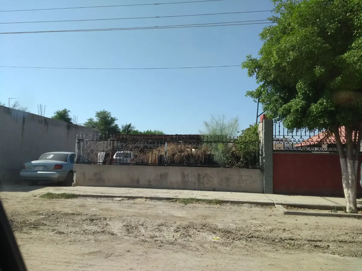 Casa en venta en Adolfo Ruiz Cortinez, Guasave