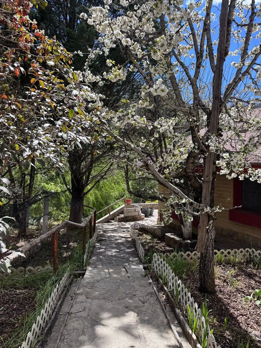 Quinta en venta en Arteaga Centro, Arteaga — foto 1 de 49
