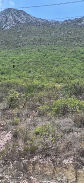 Terreno en venta en Residencial Cordillera, Santa Catarina — foto 3 de 8