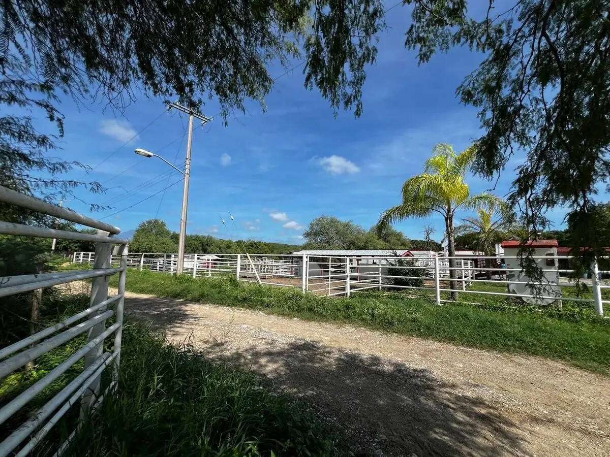 Finca-Rancho en venta en San Antonio, Linares — foto 1 de 36
