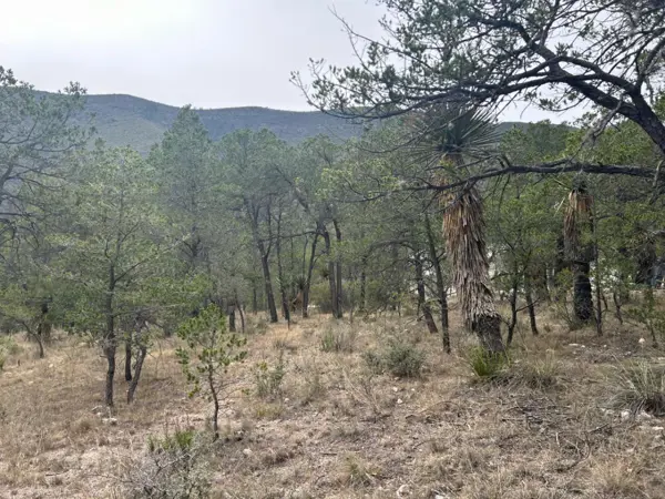 Terreno en venta en Huachichil (El Huache), Arteaga — foto 2 de 6