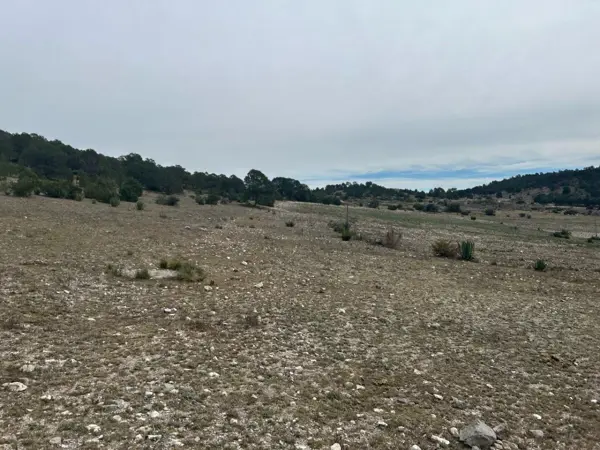 TERRENO EN VENTA HUACHICHIL (3)