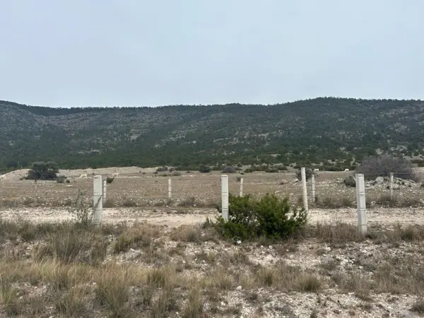 Terreno en venta en Huachichil (El Huache), Arteaga — foto 2 de 7