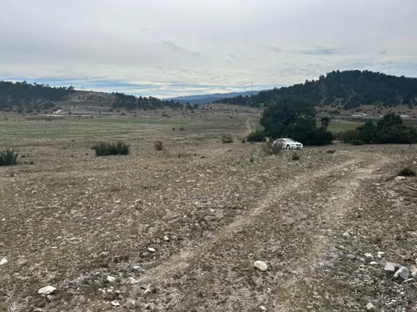 Terreno en venta en Huachichil (El Huache), Arteaga — foto 3 de 7