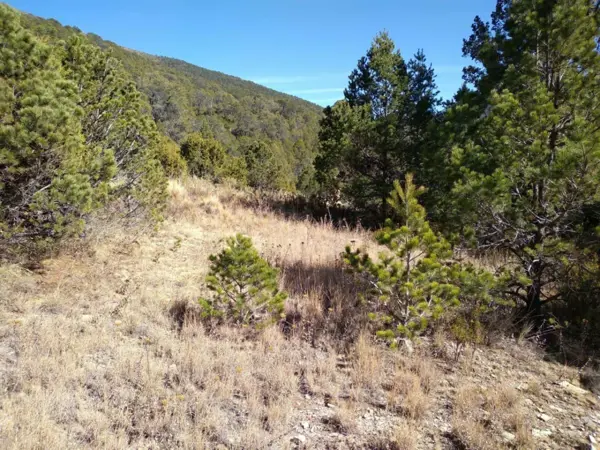 Terreno en venta en Huachichil (El Huache), Arteaga — foto 3 de 4