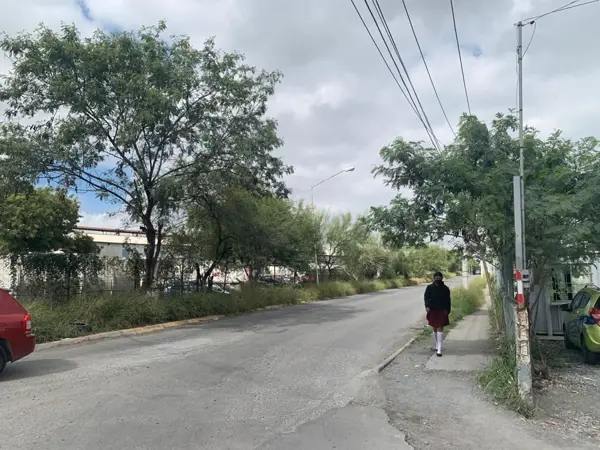 Terreno en renta en Residencial Punta Esmeralda, Juárez — foto 2 de 6