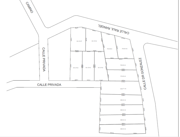 Terreno en venta en Huajuquito o los Cavazos, Santiago — foto 3 de 3