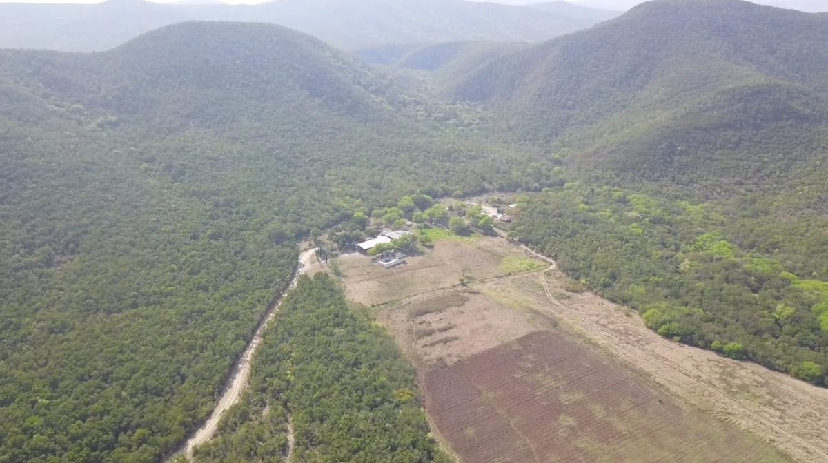 Finca-Rancho en venta en Rancheria, Linares — foto 1 de 26